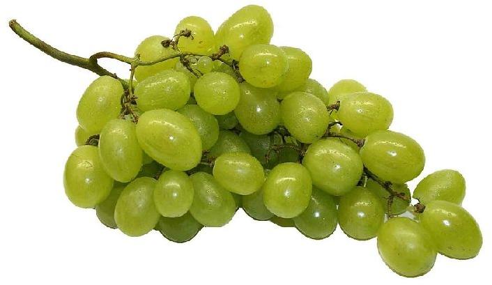 Natural Grapes, Shelf Life : 3-5days