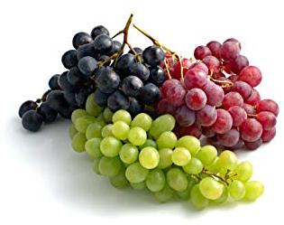 Organic Grapes, Shelf Life : 3-5days