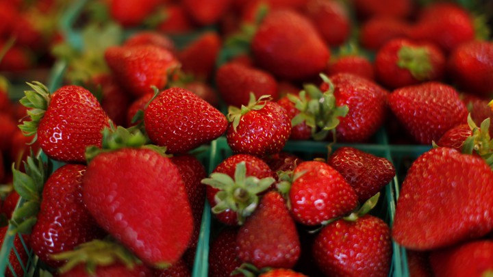 Organic Strawberry, Packaging Type : Carton Box