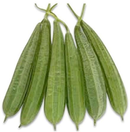 Organic Fresh Snake Gourd, for Pesticide Free, High Nutritive Value, Packaging Type : Plastic Packet