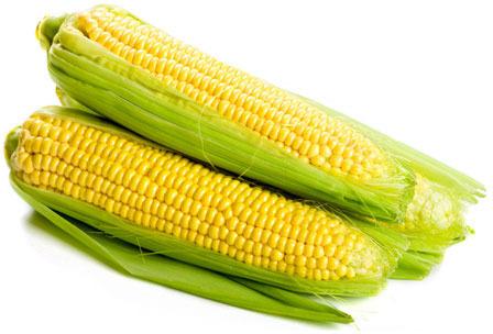 Fresh Sweet Corn, Grade : A