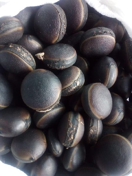 Natural potegia seed, for Medicinal, Packaging Size : 500gm