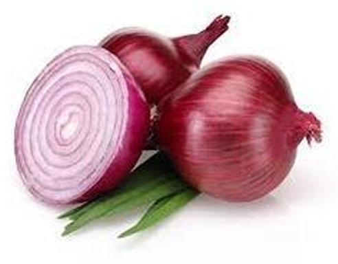 Organic Natural Onion, Size : Large, Medium, Small
