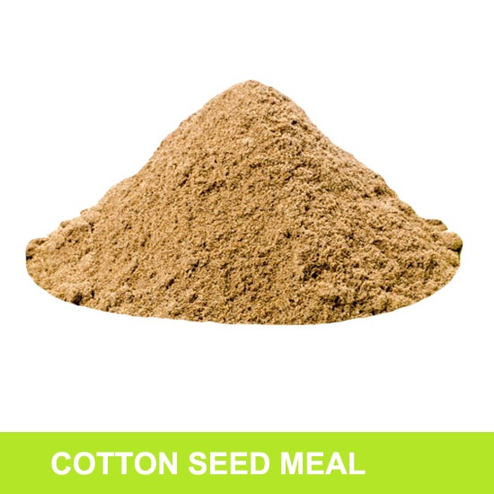 Cotton Seed Meal, for Animal Feed, Cattle Feed, Cattle Feeds, animal feed, cattle feed, aqua feed, poultry feed