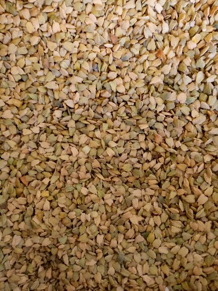 Organic Senna Seed, Shelf Life : 3Months