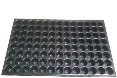 plastic seedling tray