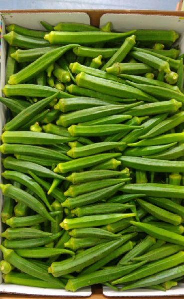 fresh okra fresh okra