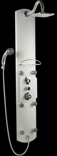 Stainless Steel Multi function shower