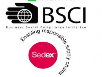 Business Social Compliance Initiative Services BSCI Consultancy in Mohan Nagar