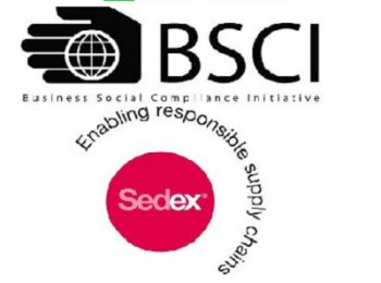 Business Social Compliance Initiative Services , BSCI, Consultancy in Jhilmil, Delhi