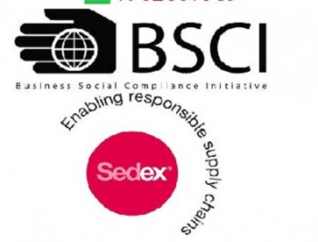 Business Social Compliance Initiative Services in Delhi .