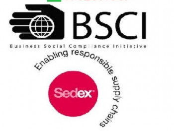 Business Social Compliance Initiative Services in Noida.