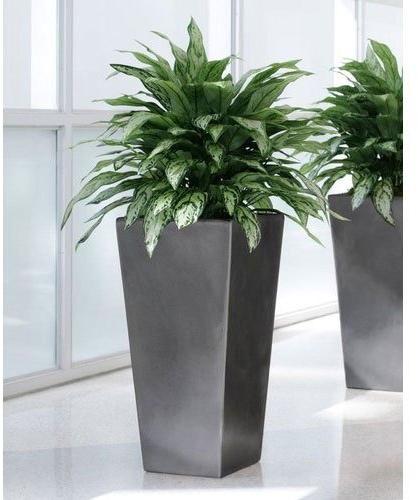 Glossy Plastic Artificial FRP Planter, for Home, Office, Pattern : Plain