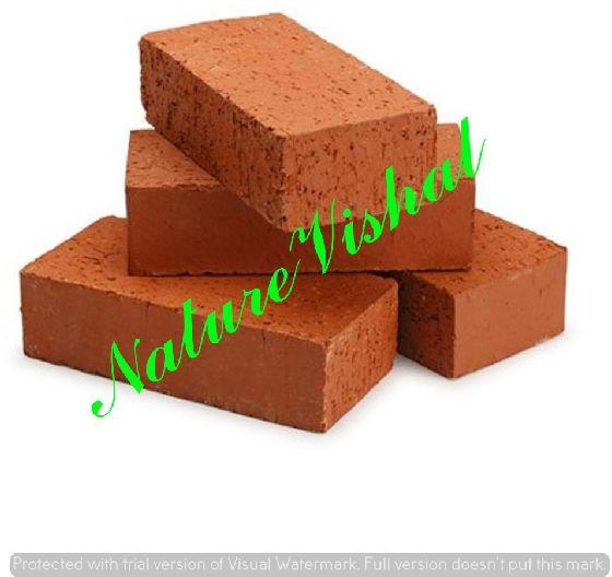 NATURE VISHAL - CocoPeatBlocks 1 KG