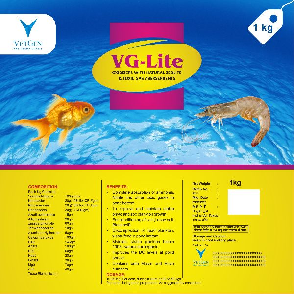 VG-Lite Supplement