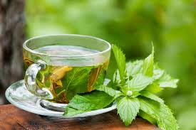 Common mint products, Grade : Medicinal Grade