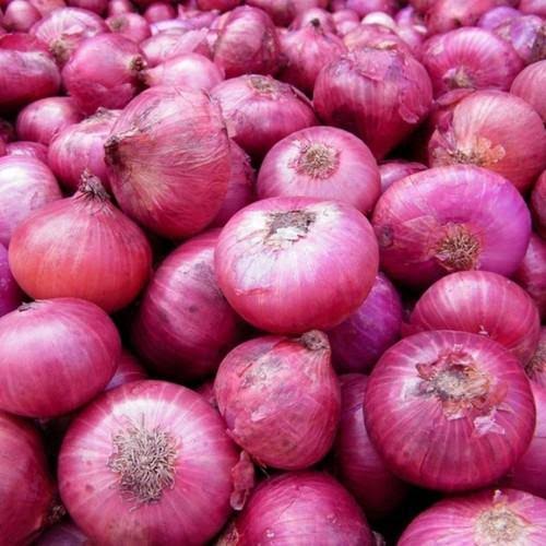 Organic Fresh Pink Onion, Packaging Type : Jute Bags