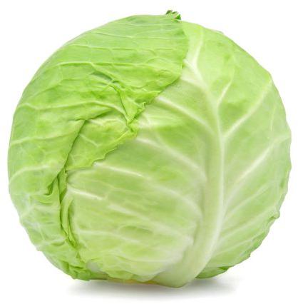 fresh cabbage