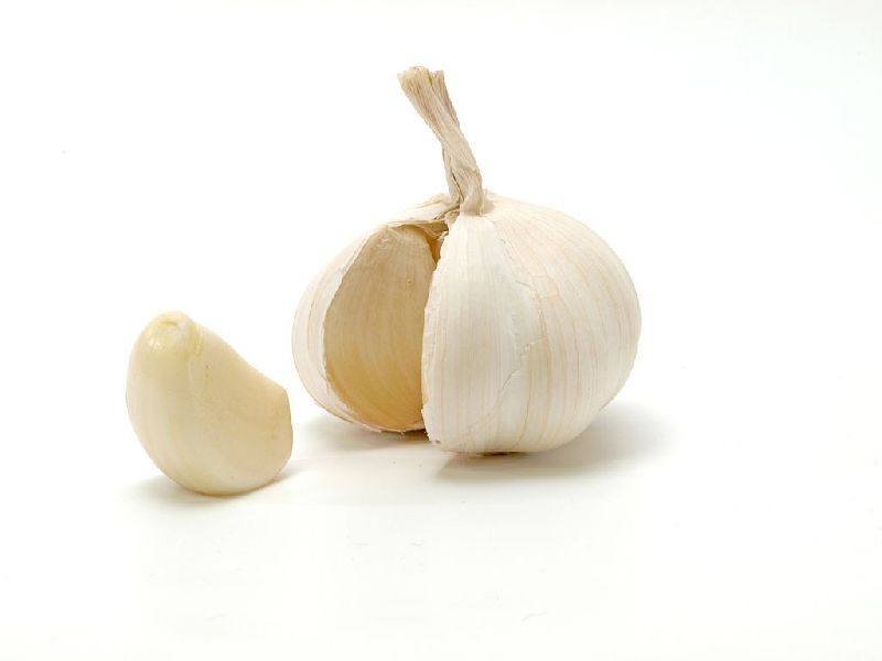 Organic fresh garlic, for Human Consumption