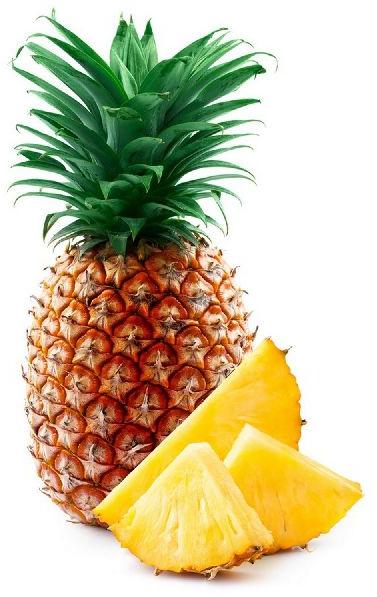 Fresh Pineapple, for Human Consumption
