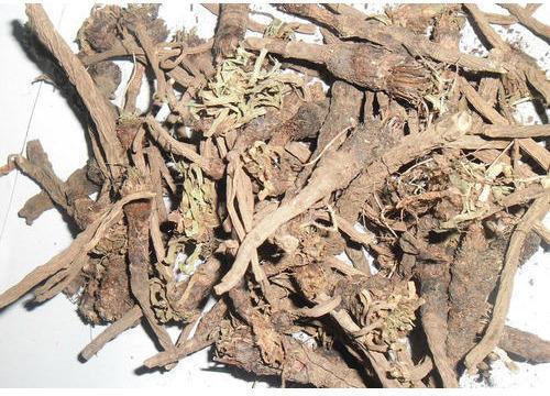 Dry Akarkara Root, Purity : 99%