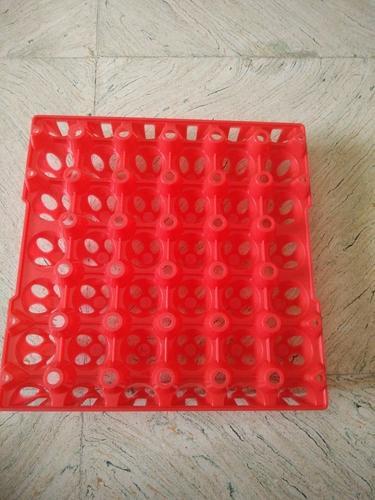 SP Plastic Poultry Egg Tray