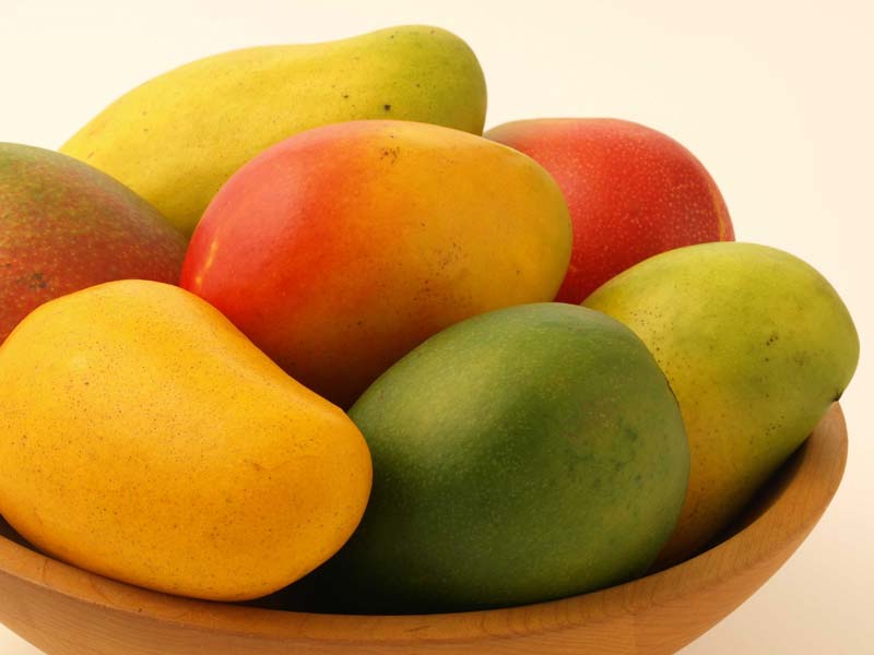Common Fresh Mango,fresh mango, Color : Light Yellow