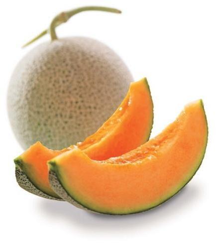 Common Fresh Muskmelon