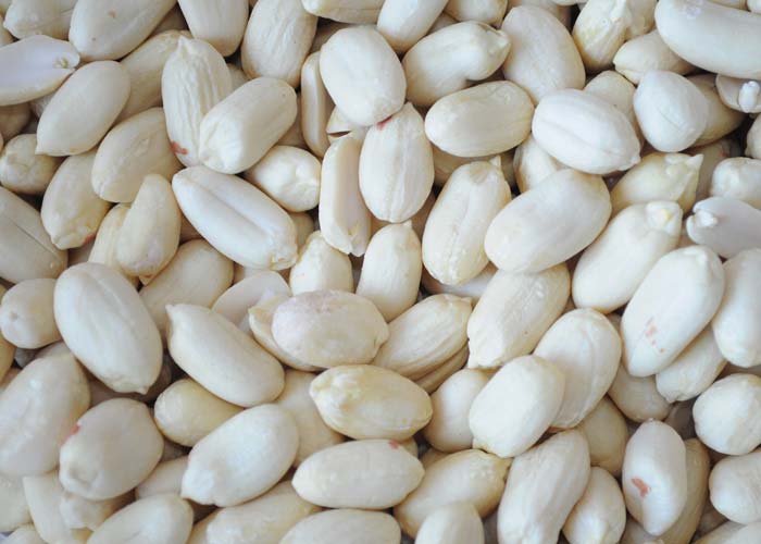 Blanched Groundnut Kernels