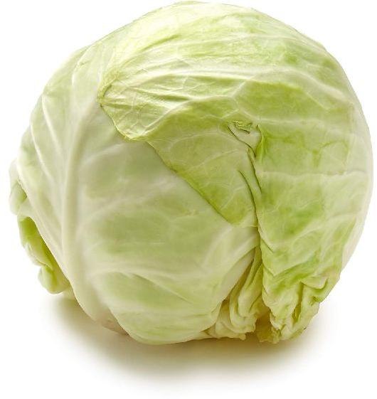 Organic Fresh Cabbage, Color : Green