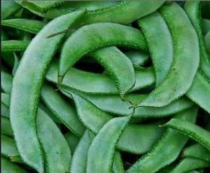 Organic Fresh Flat Beans, Shelf Life : 7-10Days