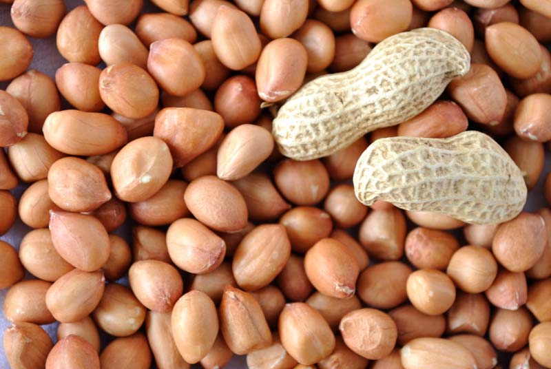 Java Groundnut Kernels