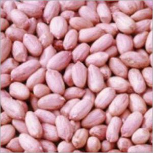 Raw Common Organic Groundnut Kernels, Color : Brownish