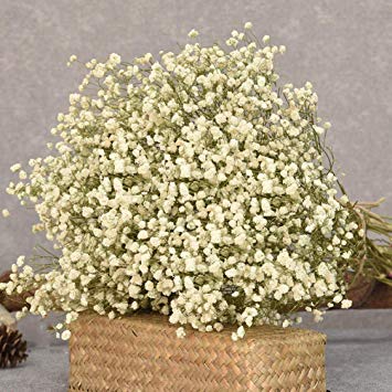 White Gypsophila Flower Bouquet By Jj Flower Mart White Gypsophila Flower Bouquet Id 5175339