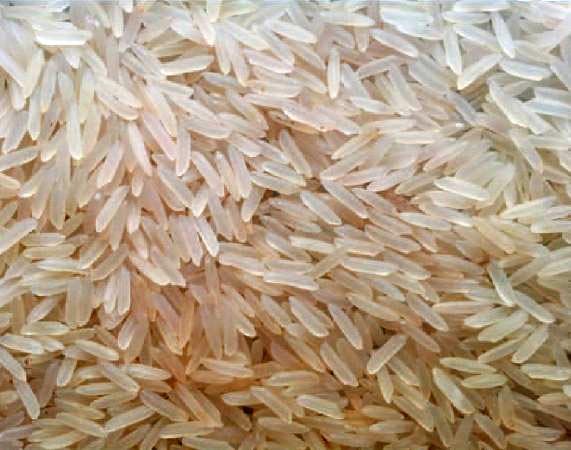 Organic Parboiled Non Basmati Rice, for High In Protein, Variety : Long Grain