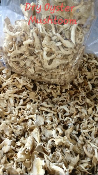 Dried Oyster Mushroom, for Cooking, Packaging Type : Plastic Bag