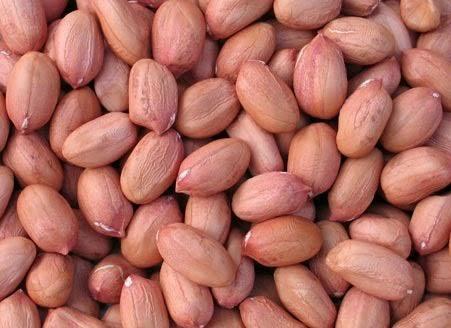 Organic groundnut, Certification : ISO 9001:2008 Certified