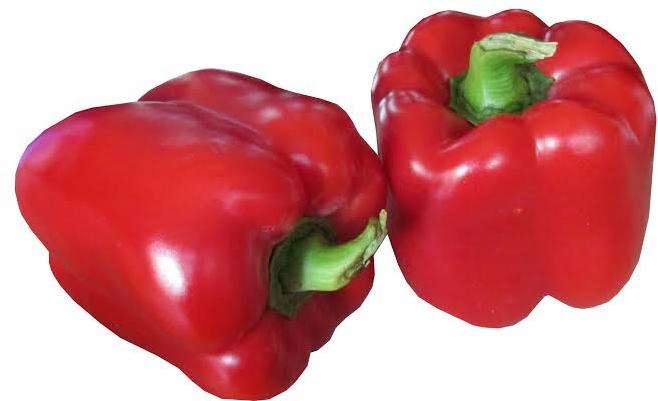 Fresh Red Capsicum