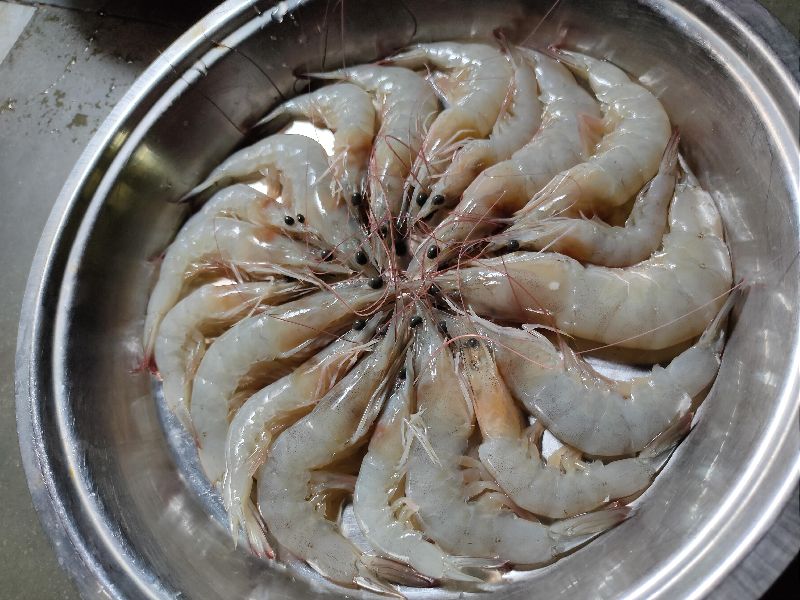 Prawn, For Food, Feature : Good Protein, Non Harmful