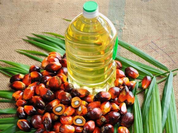 Common Palm Oil, for Cooking, Cosmetics, Packaging Type : Glass Bottels, Plastic Bottels