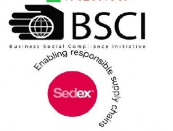 SEDEX, BSCI Certification In Chandigarh.