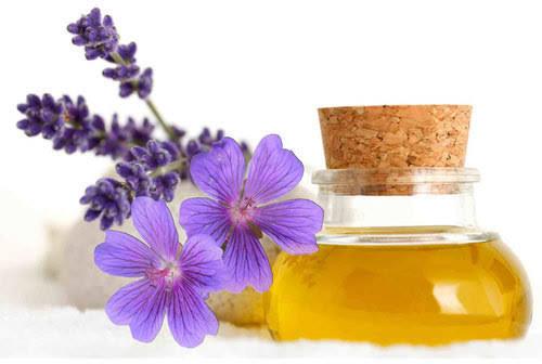 Geranium Oil, for Diffusion, Massage., Purity : 100 %