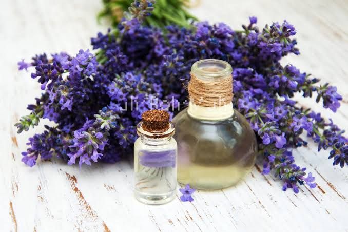 Lavender Oil