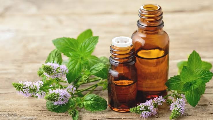 Peppermint Oil, for Fever, Stomach Issue, Form : Liquid