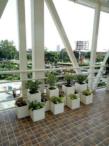 Avantika's Garden fiberglass planter