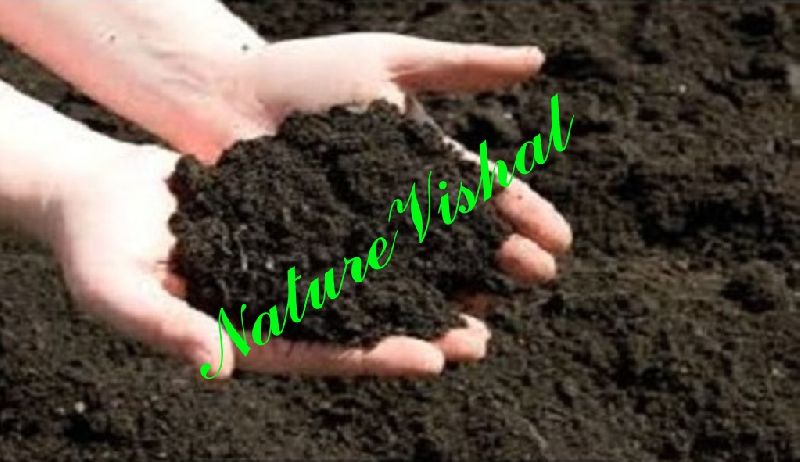 NATURE VISHAL - PhosphateRichOrganicManure (PROM), for Agriculture, Packaging Type : PP Bags