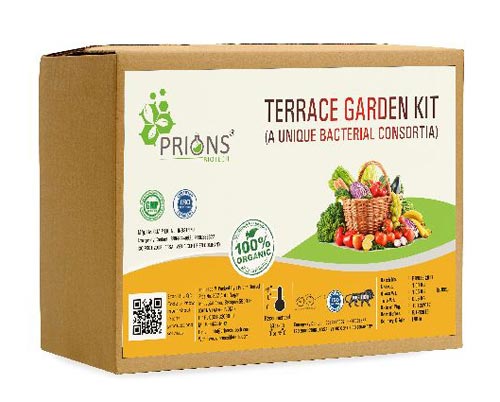 terrace garden kit