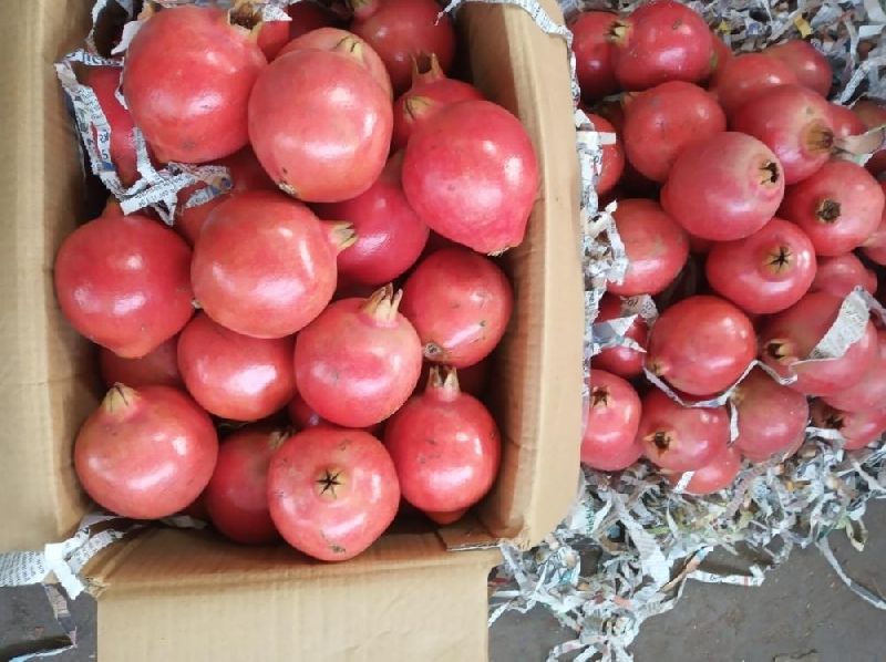 Natural fresh pomegranate, Packaging Size : 10kg, 50kg