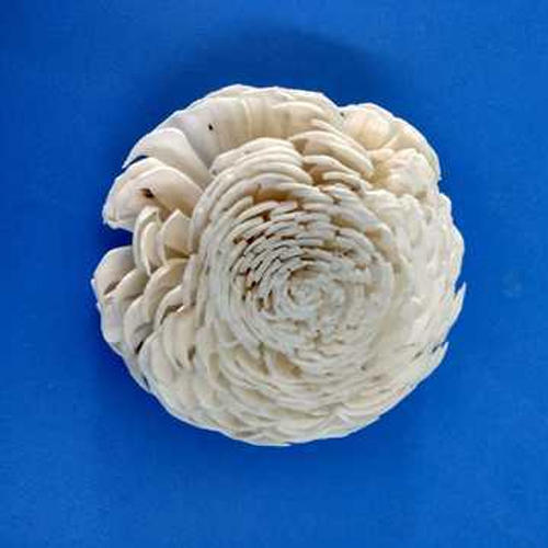 Artificial Sola Dry Flower
