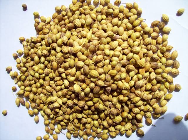 Coriander Seeds